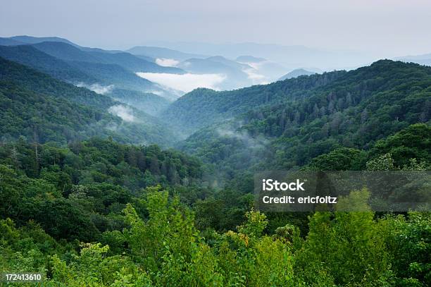 Photo libre de droit de Smoky Mountains banque d'images et plus d'images libres de droit de Amérique du Nord - Amérique du Nord, Biodiversité, Caroline du Nord - État américain