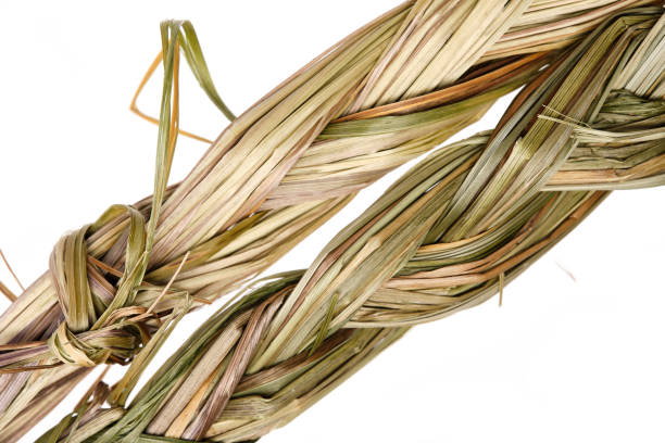 trenza de hierba dulce sobre fondo blanco - sweet grass fotografías e imágenes de stock