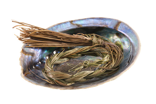 Sweetgrass braid (Hierochloe odorata), also called vanilla grass, holy grass or mary's grass, in an blue iridiscent abalone shell (Haliotis Iris), isolated on white background. Dried sweetgrass is used by indigenous peoples in North America as herbal medicine and incense (smudges) to attract good spirits. Close-up, top view, cut out.