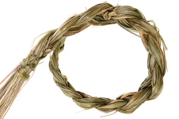 Sweet grass braid (Hierochloe odorata), also called vanilla grass, holy grass or mary's grass, isolated on white background. Dried sweetgrass is used by indigenous peoples in North America as herbal medicine and incense (smudges) to attract good spirits. Close-up, top view, cut out.