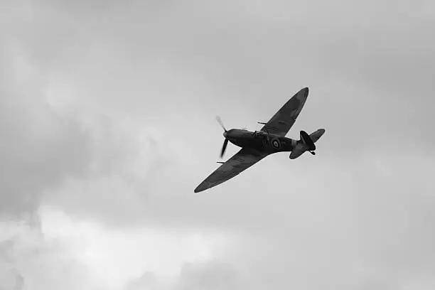 Spitfire in black and white.