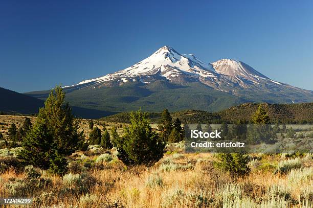 Monte Shasta Foto de stock y más banco de imágenes de Monte Shasta - Monte Shasta, Aire libre, California