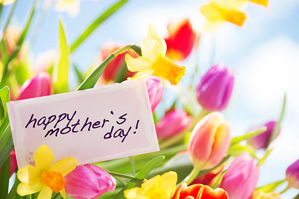 Colorful tulips  and daffodils with mothers day card in nature Colorful tulips  and daffodils with mothers day card in nature mothers day horizontal close up flower head stock pictures, royalty-free photos & images