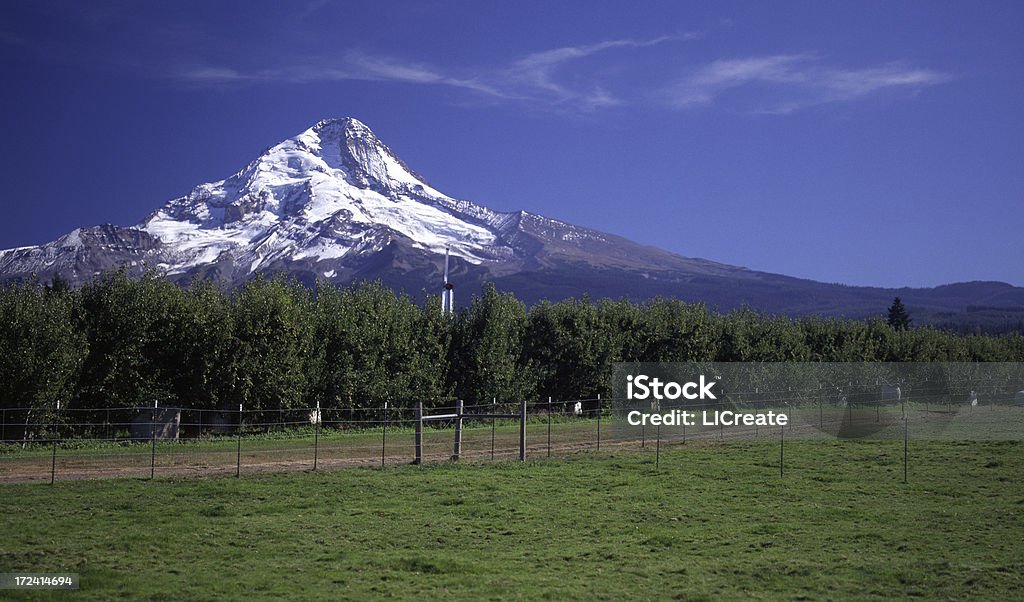 Vista del Monte Hood, Oregon - Foto de stock de Aire libre libre de derechos