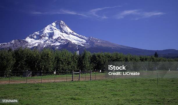 Vista Del Monte Hood Oregon Foto de stock y más banco de imágenes de Aire libre - Aire libre, América del norte, Campo - Tierra cultivada