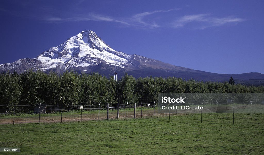 フッド山の眺め、オレゴン州 - アメリカ太平洋岸北西部のロイヤリティフリースト�ックフォト