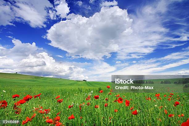 Landschaft Stockfoto und mehr Bilder von Aussicht genießen - Aussicht genießen, Bedeckter Himmel, Bildhintergrund