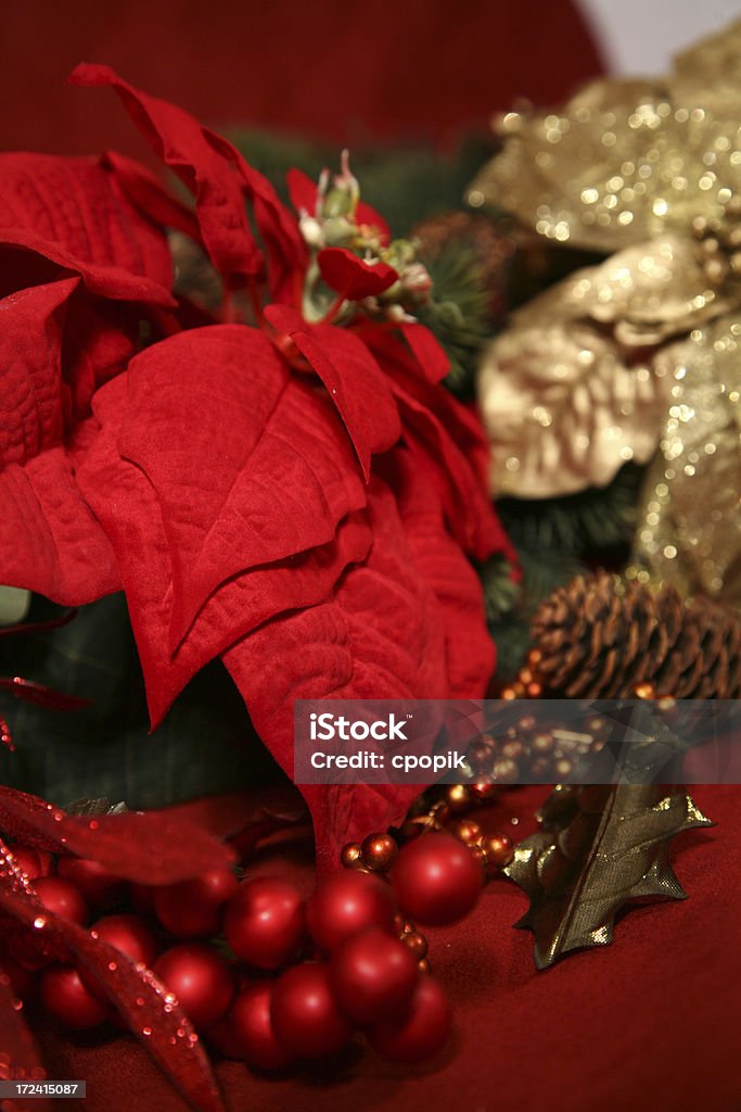 Rojo flor de nochebuena - Foto de stock de Adorno de navidad libre de derechos