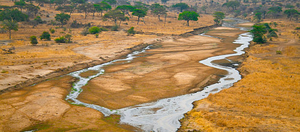 Tarangire National Park stock photo