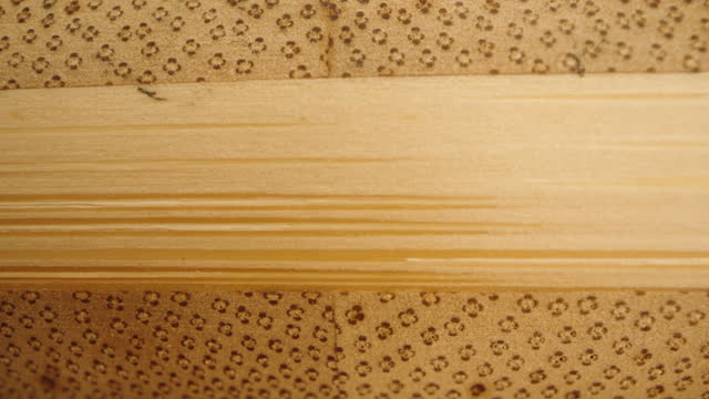 Even texture of wooden board made of bamboo pieces. Macro slider.