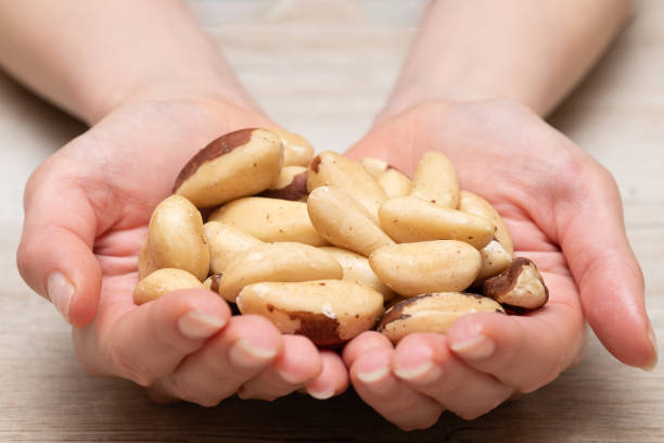 istock Woman's hand holding brazil nuts 1724155610