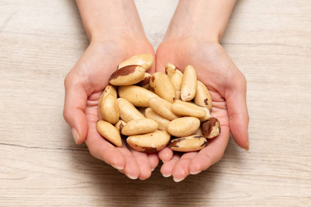 istock Woman's hand holding brazil nuts 1724155615