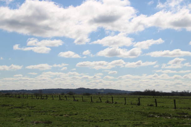 istock Hammewiesen (Hamme Meadows) close to Worpswede 1724156162