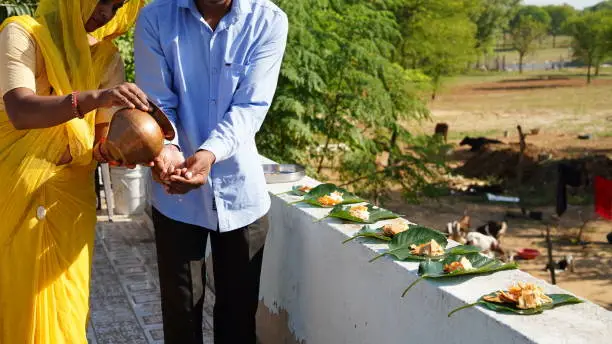 Photo of Indian religious family placed food on a leaf for the crow bird to eat. Food placed on a green leaf during a Hindu Ritual in the month of Sharada.