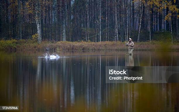 Truta Greve - Fotografias de stock e mais imagens de Pesca com Isco Artificial - Pesca com Isco Artificial, Borrifo, Cena de tranquilidade