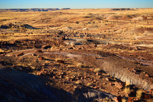istock Rugged and Desolate Landscape Petrified Forest Arizona 1724160739