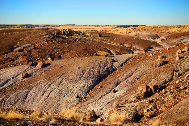 istock Rugged and Desolate Landscape Petrified Forest Arizona 1724161858