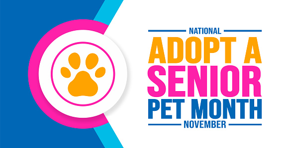 November is National Adopt a Senior Pet Month background template. Holiday concept.