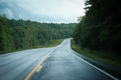 An empty wet road through a forest