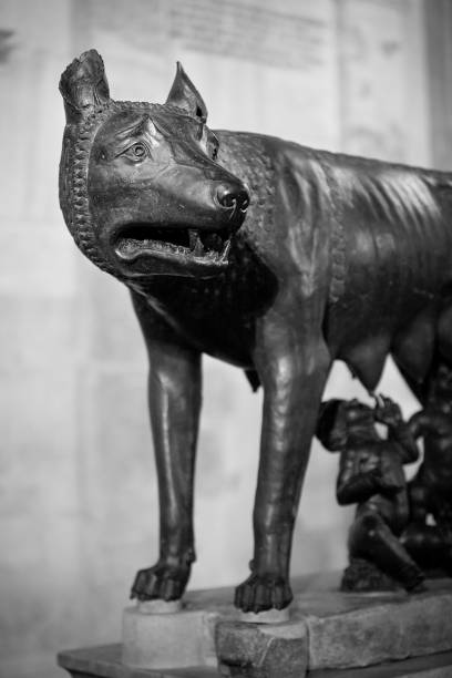 istock The Wolf symbol of Rome 172416329