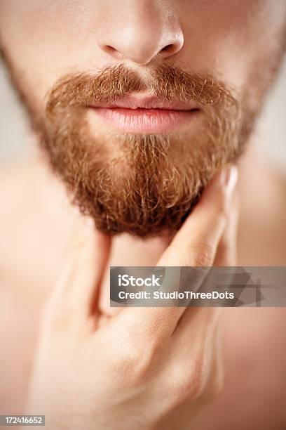 Bart Stockfoto und mehr Bilder von Bart - Bart, Braunes Haar, Ein Mann allein