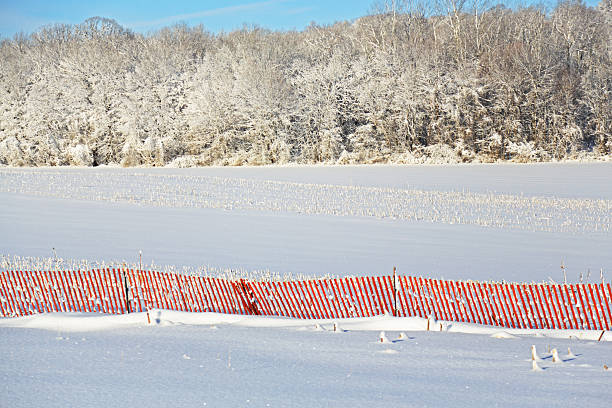 A long, red snow fence stretches across a winter farm field just after a major blizzard. In this western New York state region, temporary winter season snow fences are often used to prevent wind-blown snow across roads and highways after snowplowing.