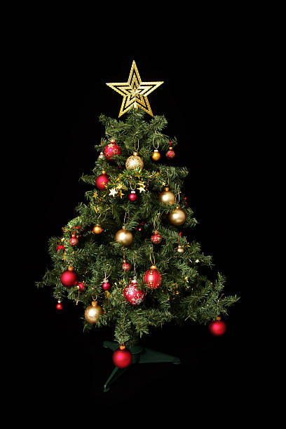 istock Glory of Christmas 172416772