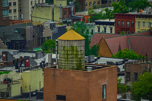 Green moss creeps up the side of a wooden water tower above a brown brick building in New York