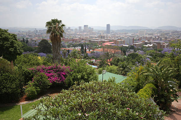 istock Pretoria city facing north 172416945