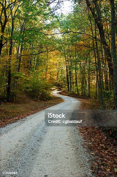 Path In The Woods Stock Photo - Download Image Now - Autumn, Color Image, Curve