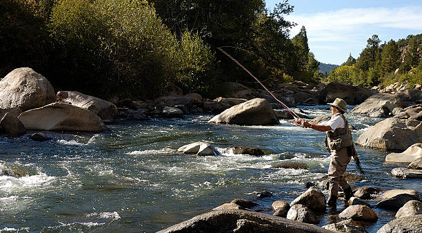 femme de pêche à la mouche - wading vertical water sport recreational pursuit photos et images de collection