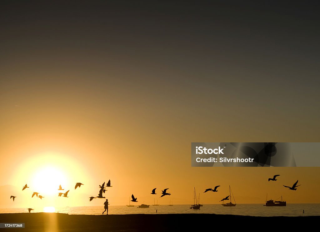 Pôr do sol em Santa Barbara na Califórnia - Royalty-free Alegria Foto de stock