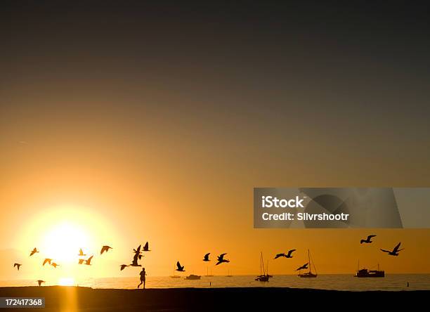 Pôr Do Sol Em Santa Barbara Na Califórnia - Fotografias de stock e mais imagens de Alegria - Alegria, Apanhar - Atividade Física, Atividade