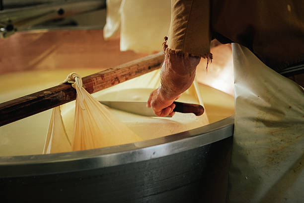 Rows of wheels of Parmigiano Reggiano cheese are neatly arranged in an aging room. The environment showcases wooden shelves holding the cheese, highlighting the traditional production methods.