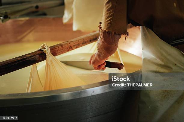 Parmesan Cheese In The Making Stock Photo - Download Image Now - Parmesan Cheese, Cheese, Industry