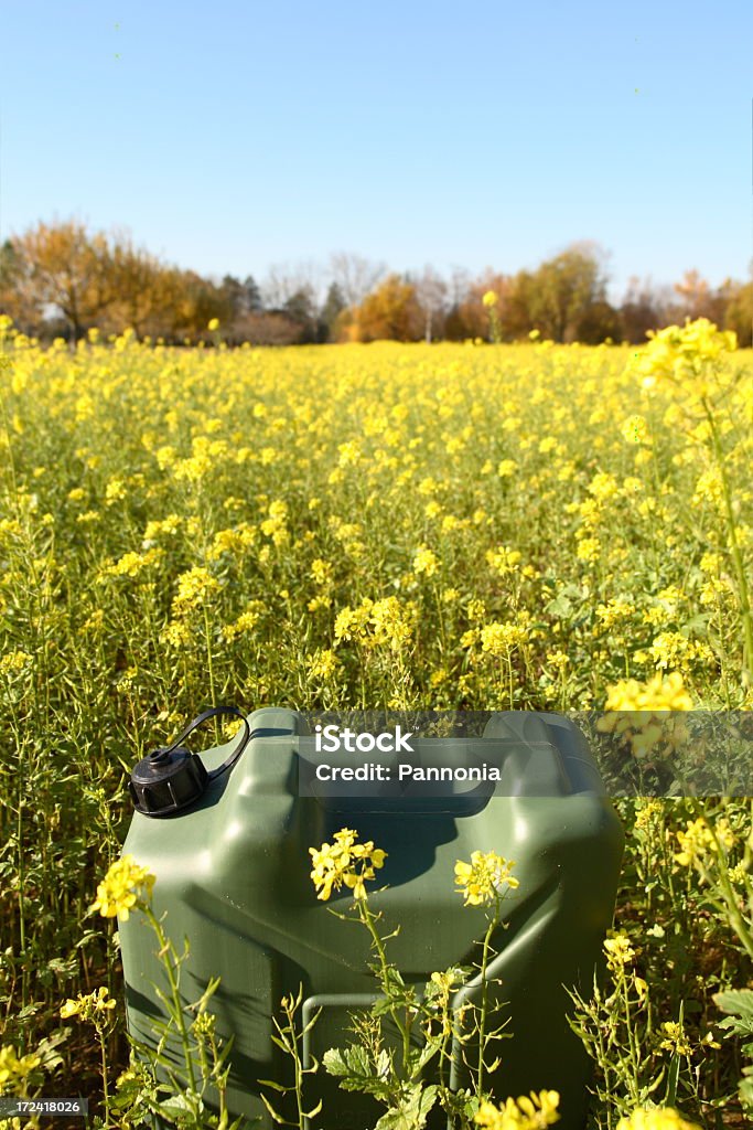 Benzin-Tank-Top in Rapeseed Field - Lizenzfrei Raps Stock-Foto