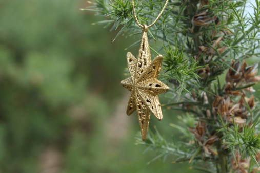 A gold Christmas star hanging in natural bush