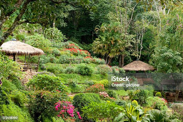 Jardim Tropical Com Terraço No Norte Da Tailândia - Fotografias de stock e mais imagens de Ao Ar Livre - Ao Ar Livre, Cabana - Estrutura construída, Cena Rural