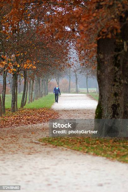 Camminare In Un Parco - Fotografie stock e altre immagini di Adulto - Adulto, Albero, Ambientazione esterna