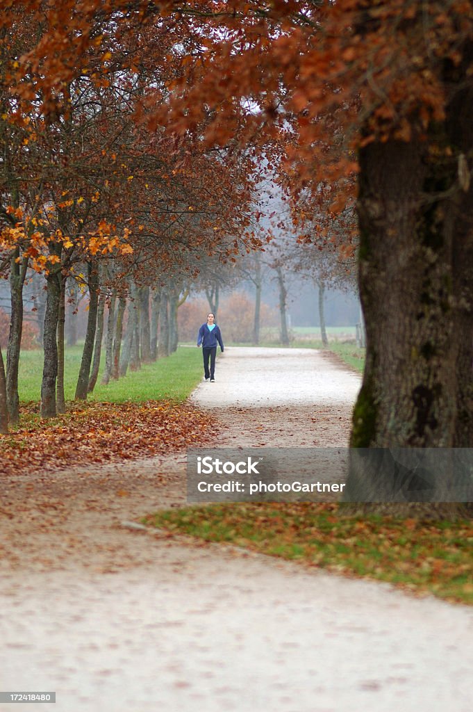 公園の散歩 - -Light at the End of the Tunnel 英語の慣用句のロイヤリティフリーストックフォト