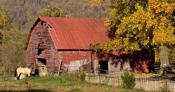 Osarks Ranch 40+ Arkansas Farm Fence Stock Photos, Pictures & Royalty-Free Images ...