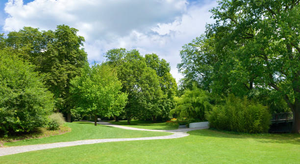 istock Beautiful meadow in the park 1724186137