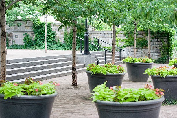 A courtyard in Old Town Montreal with trees and potted plants.  