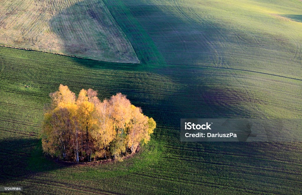 Foto aérea de tierras de labranza. Otoño - Foto de stock de Agricultura libre de derechos