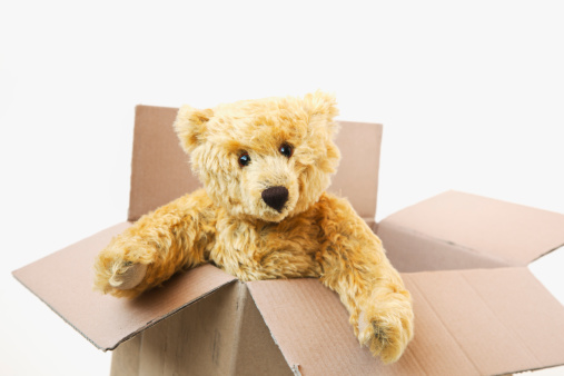 Artist's teddy bear in a cardboard box.