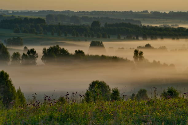 istock Thick foggy dawn 1724193785