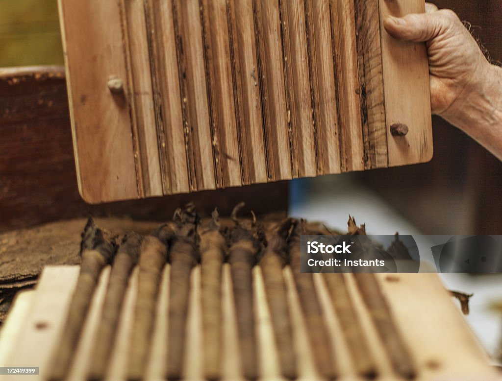 Cigar, - Lizenzfrei 70-79 Jahre Stock-Foto