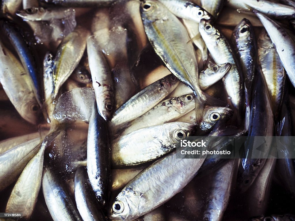 Fisch - Lizenzfrei Einzelhandel - Konsum Stock-Foto