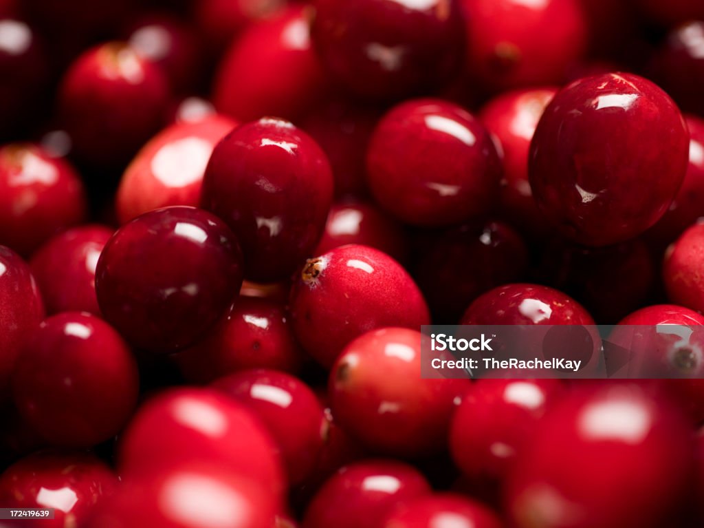 Frische cranberries - Lizenzfrei Moosbeere Stock-Foto