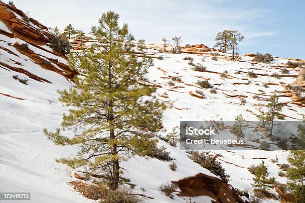 Parco Nazionale Di Zion In Inverno - Fotografie stock e altre immagini di Albero - Albero, Ambientazione esterna, Composizione orizzontale